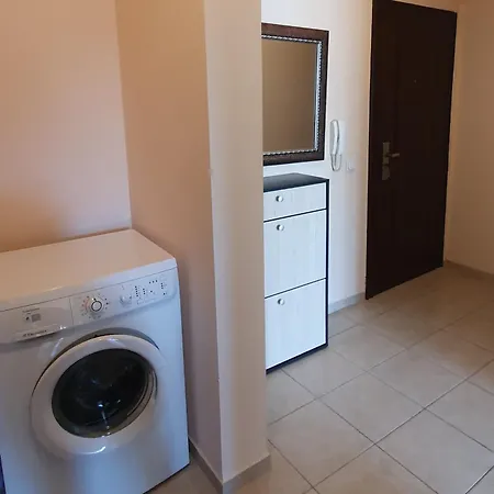 Sunny Day * 포마리